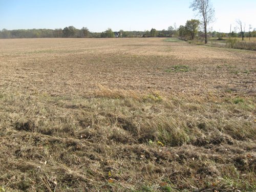 Property photo 43 - 110+/- Acres offered in 4 Tillable Tracts